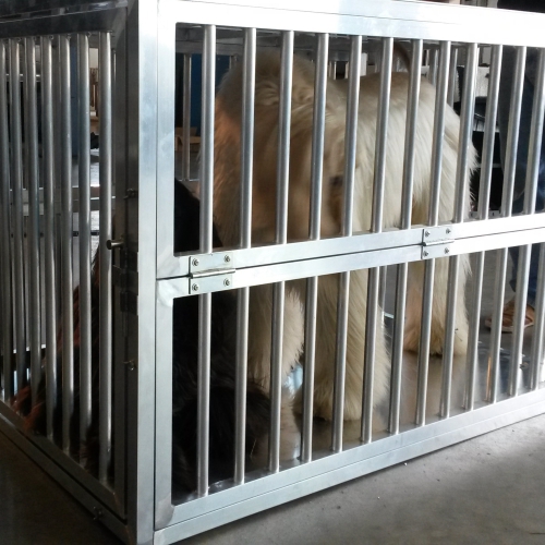 Bau einer faltbaren Hunde-Transportbox Bau einer faltbaren Hunde-Transportbox